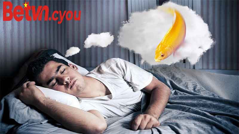 Giả Mã Giấc Mơ Về Rắn Và Cá